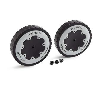 250858 Rad genesis.jpg